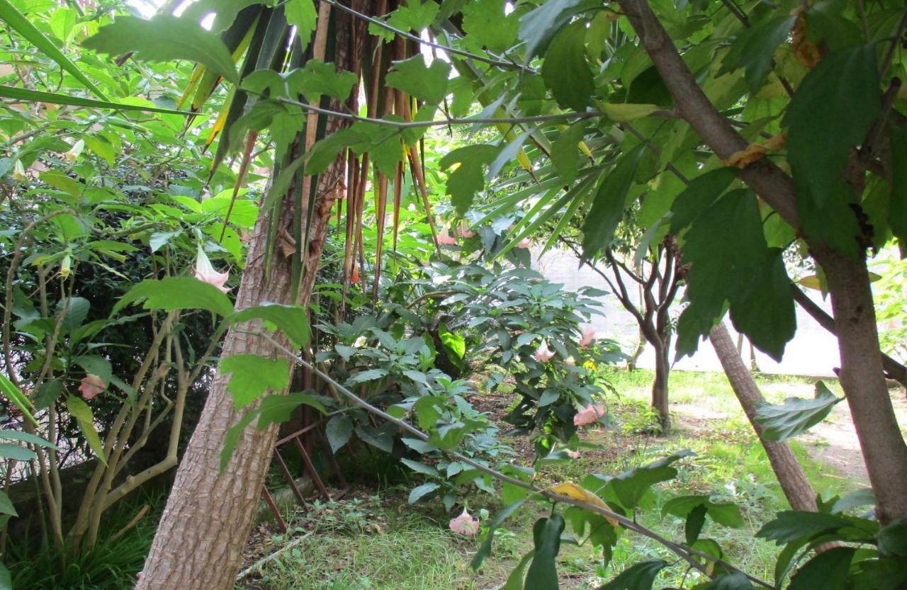 Resort Giardino Degli Aranci - Casa Lisca Baronissi Dış mekan fotoğraf