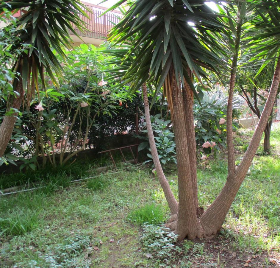 Resort Giardino Degli Aranci - Casa Lisca Baronissi Dış mekan fotoğraf